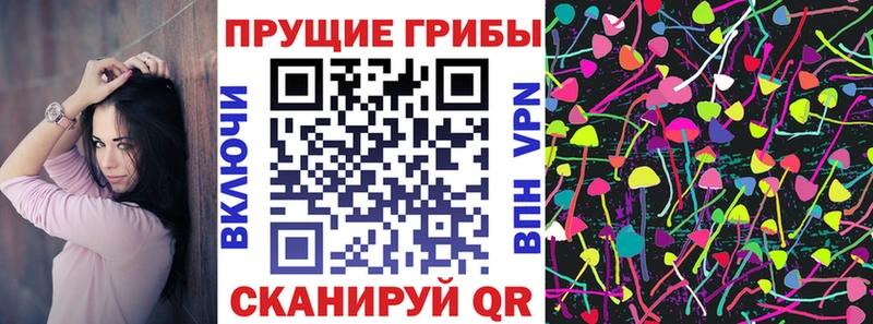 Галлюциногенные грибы Psilocybe  OMG tor  Котлас  магазин продажи наркотиков 