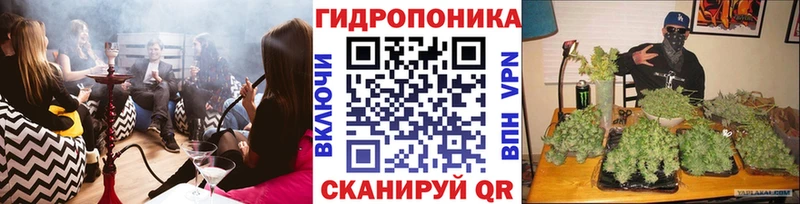 Бошки марихуана OG Kush  Котлас 